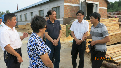 自治区残联杨瑞平理事长一行赴呼伦贝尔市调研